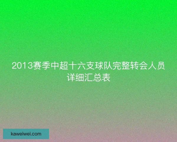 2013赛季中超十六支球队完整转会人员详细汇总表